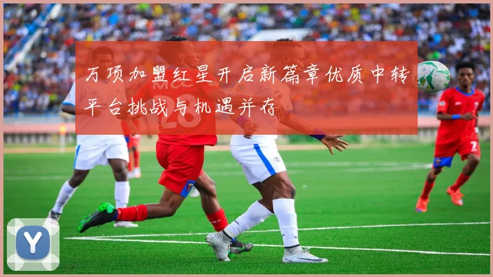 万项加盟红星开启新篇章优质中转平台挑战与机遇并存
