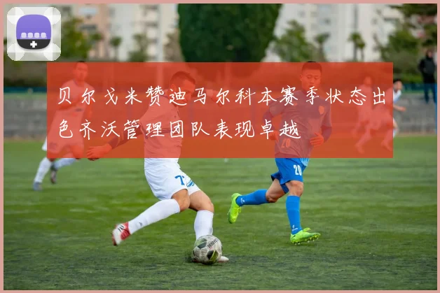 贝尔戈米赞迪马尔科本赛季状态出色齐沃管理团队表现卓越